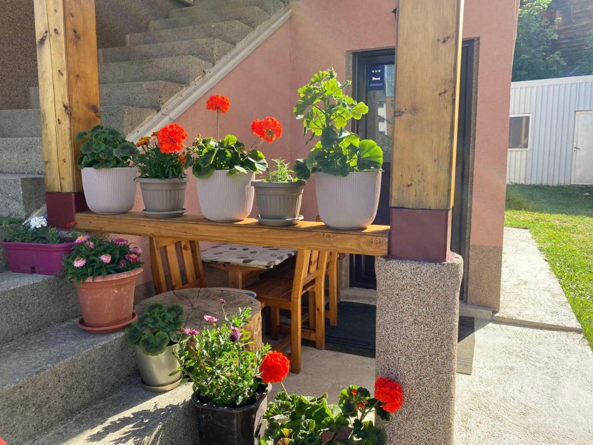 Apartman Kaljevic Daire Žabljak Dış mekan fotoğraf