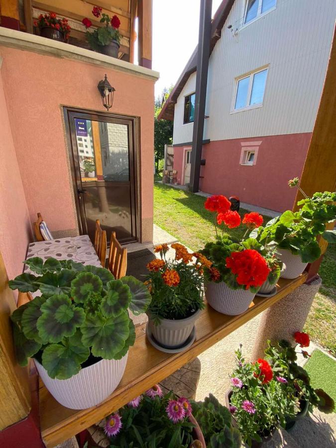 Apartman Kaljevic Daire Žabljak Dış mekan fotoğraf